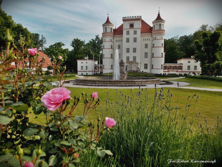 10380024_296327753876182_7161159578910902393_o