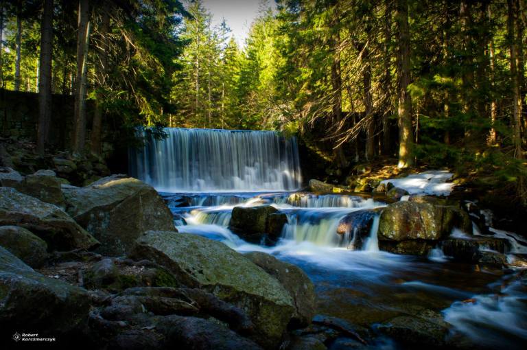 53731916_2243202835738668_2718475158883926016_o