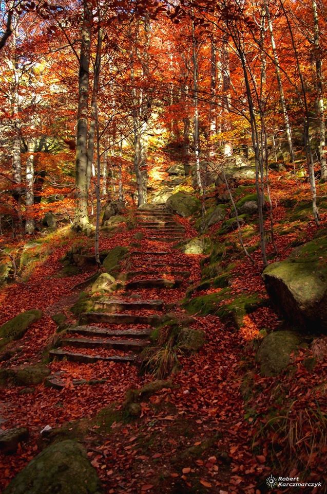 73482843_2664574563601491_7961807470479802368_o